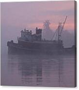 Seahorse On A Misty Morning Canvas Print