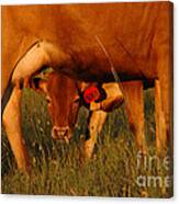Secure With Mom Canvas Print