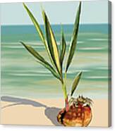 Seedling Floating Ashore Canvas Print