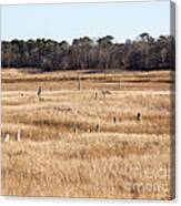 Sentinels Canvas Print