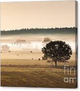 Sepia Landscape From 500 Feet Canvas Print