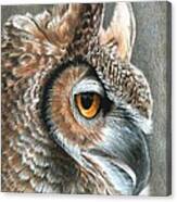 Sepia Owl Canvas Print
