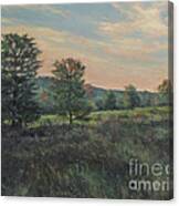 September Meadow Canvas Print