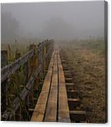 September Mist Hdr - Foggy Day Over Walk Way Canvas Print