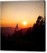 Sequoia Sunset 2 Canvas Print