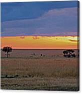 Serengeti Sunrise Canvas Print