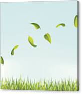 Several Leaves Flying Above The Grass Canvas Print