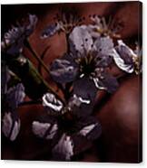 Shadowed Flowers Canvas Print