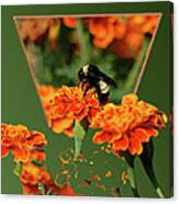 Sharing The Nectar Of Life Canvas Print