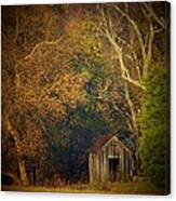 Shed And Trees Canvas Print