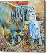 Sheep And Lamb Canvas Print