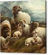 Sheep In A Landscape, 1894 Canvas Print