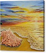 Shell At Sunset Canvas Print