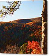 Shenandoah In The Fall Canvas Print