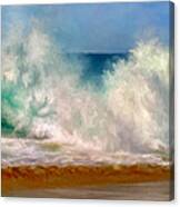 Shorebreak At The Wedge Canvas Print