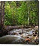 Shorts Creek Canvas Print