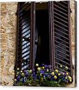 Shutters And Flowers Canvas Print