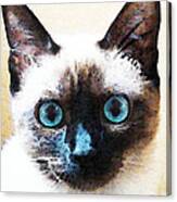 Siamese Cat Art - Black And Tan Canvas Print