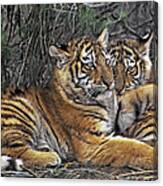 Siberian Tiger Cubs Endangered Species Wildlife Rescue Canvas Print