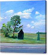 Side Of The Road Canvas Print