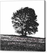 Silhouette Summer Tree Canvas Print