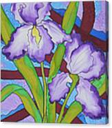 Silk Iris Canvas Print