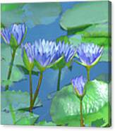 Silken Lilies Canvas Print