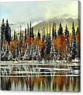 Silver Lake Pine And Aspen Trees Canvas Print