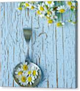Silver Spoon With Chamomile Flowers Canvas Print