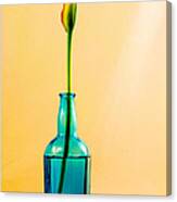 Single Calla In Blue Bottle Canvas Print