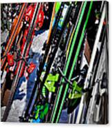 Skis At Mccauley Mountain Canvas Print