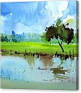 Sky N Farmland Canvas Print