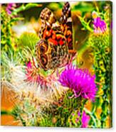Skyline Butterfly Canvas Print