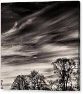 Skyscape Wisps Canvas Print