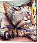 Sleeping Kitten Canvas Print