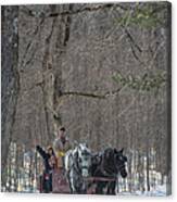 Sleigh Ride Through The Maples Canvas Print