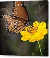 Smoking Beauty Butterfly Canvas Print
