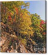 Smoky Mountain Autumn Canvas Print