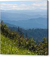 Smoky Mountains View Canvas Print