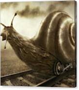 Snail Mail Canvas Print