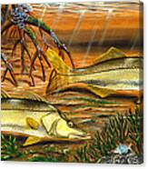 Snook In The Mangroves Canvas Print