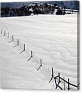 Snow And Fence Canvas Print