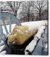 Snow Cannon Canvas Print