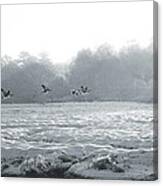 Snow And Geese Canvas Print