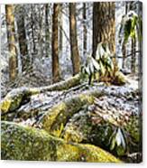 Snow In Forest Canvas Print