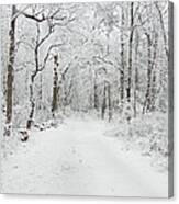 Snow In The Park Canvas Print