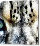 Snow Leopard Eyes Canvas Print