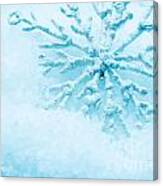 Snowflake In Snow Canvas Print