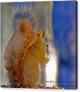 Snowflake Squirrel At Sunset Canvas Print