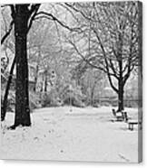 Snowing Out In Black And White Canvas Print